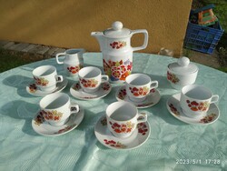 Colditz porcelain coffee set for sale! German coffee set with berry pattern for sale!