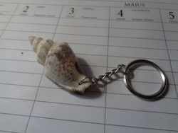 Kulcstartó , tengeri csigával   / 4,5 cm /