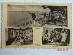 Old Weinstock postcard: Budafok, terrace, indoor restaurant, dog villa