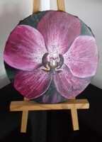 Orchid c. Painting, still life