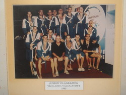 Hungarian junior world champion water polo team, 1995.