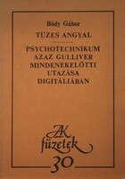 Gábor Bódy's fiery angel / psychotechnicum, i.e. above all Gulliver's journey in digitalia