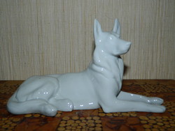 Kőbánya porcelain factory white German shepherd dog