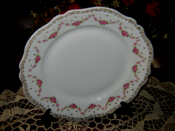 Antique royal austria plate 28 cm h&eg