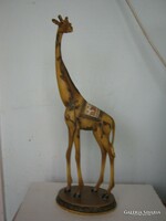 Large rare giraffe