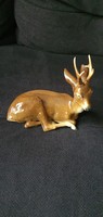 M.O. Deer for sale