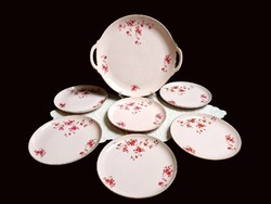 Johann haviland Bavarian pink porcelain cake set with peach blossom painting