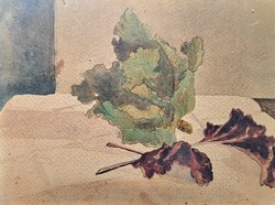 Cabbage - antique watercolor vegetable still life