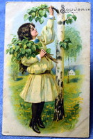 Antik dombornyomott tavaszi üdvözlő  litho képeslap kisleány nyírfaágakat szed