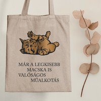 Cat = artwork - kitty canvas bag with quote