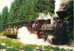 Locomotive manufactured by Mávag