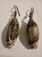 Shells hanging