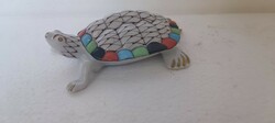 Hollohàza pikkelyes teknősbèka