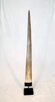 Large swordfish 'fang' in metal base