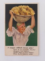 Old propaganda postcard Hungarian grape advertising postcard