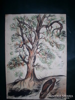 Alvó galamb az őszi fa alatt - 43 x 30 cm - papír, akvarell, Lehoczky József