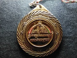 Vienna-Budapest supermarathon 1997 medal with pendant (id69170)