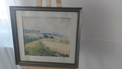 K) old watercolor painting blooming meadow in the distance with mountains 56x51 cm frame, signed.
