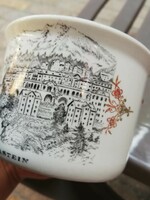 Wilhelmsburger Austria porcelain mug