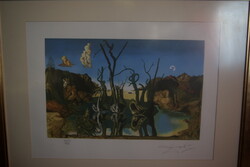 Salvador Dalí watermarked signed lithograph. The title of the picture is swans reflecting in elephants