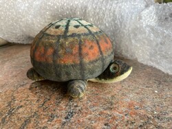 Ágoston Simó is a turtle