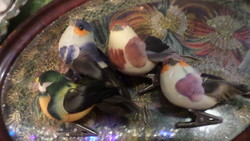 4 db csipeszes , kedves , dekorációs madárka egyben , akár karácsonyfadísznek is ....