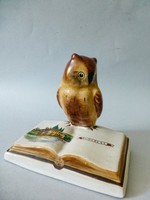 Rare reading owl from Bodrogkeresztúr with a book depicting the city of Budapest