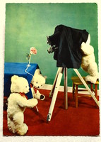 Old humorous photo postcard game teddy bears in photo studio shooting