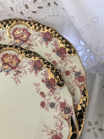 English porcelain plate