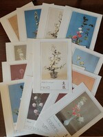 17 pieces of ikebana letter paper in a box, sold together (even with free delivery!)