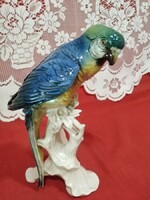 Karl ens, volkstedt - parrot macaw - rare beautiful flawless condition - half price now!!!!