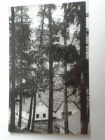 D196193 telkibanya - old postcard 1970