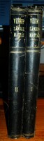 Rare !!!!! Gyula Verne - Matthias Sándor I-II. - 1887 - First Hungarian edition !!!!