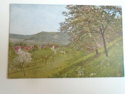 D196245   Képeslap - Festmény  -Falu -Stuttgart -  F Ph G  1910k