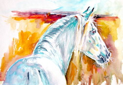 Andalusian horse iii - watercolor painting / Andalusian horse iii - watercolor painting