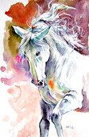 Andalusian horse - watercolor painting / Andalusian horse - watercolor painting