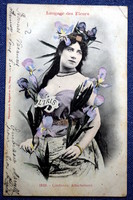 Antik színezett fotó képeslap  hölgy írisszel