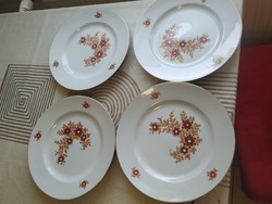 German porcelain tableware for sale! Berry pattern flat plate 4 pieces for sale!