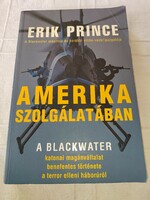 Prince Erik: In the Service of America