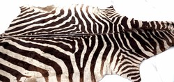 Zebra bőr eredeti ALKUDHATÓ