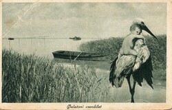 Ba - 014 Balatoni lapok  Balatoni csendélet    (Monostory fotó)  1921