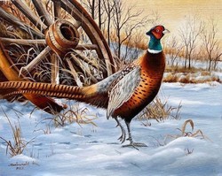 Dabronaki pheasant 40x50cm oil on canvas painting