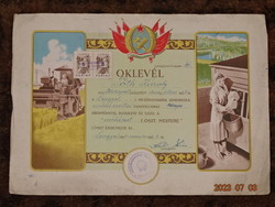 Rákosi age diploma agricultural course beekeeper 1954