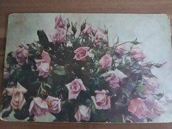 Antik virágos képeslap, 1917