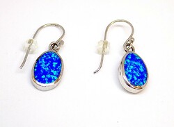 Sterling silver earrings (zal-ag95317)