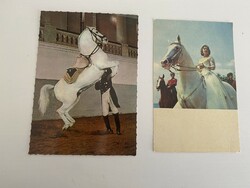 Fehér ló, ROmantika, szerelem, szép hölgy, úriember, ló, lovas, állat, antik divat, ruházat, cirkusz