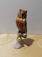 Owl of Bodrogkeresztúr