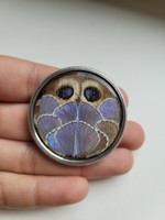 Henry William King Genuine Butterfly Sable Silver Brooch Rare!