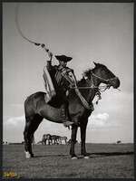 Larger size, photo art work by István Szendrő. A colt on horseback, with a whip, a sled, a saddle