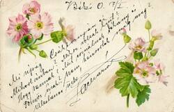 E - 025 Virágos üdvözlet  1900